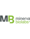 Minerva Biolabs 